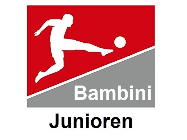 Logo Bambini_nsw