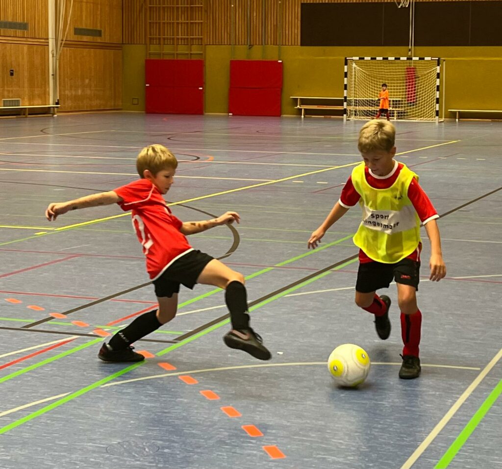 Die Spielpl ne Des 5 Hallen Spieltages Sind Im DFBnet die-spielpl-ne-des-5-hallen-spieltages-sind-im-dfbnet