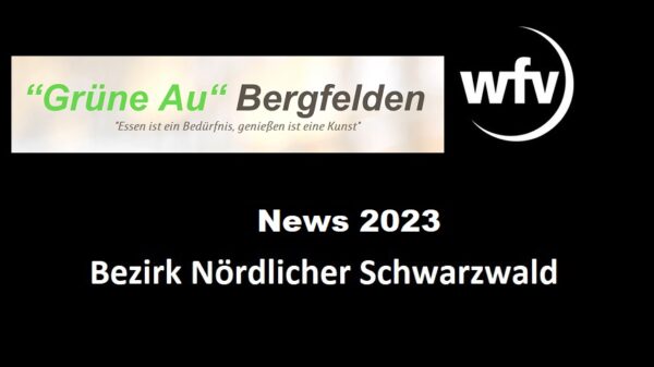 News 2023_nsw